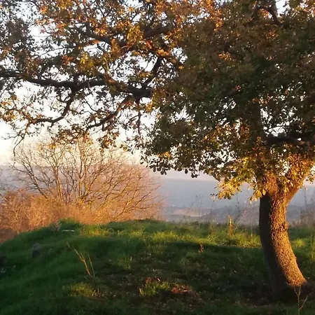 Su Montiju De Sa Falada Manna 아파트