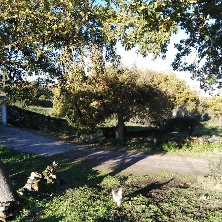 Su Montiju De Sa Falada Manna Apartment Cheremule